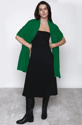 Cashmere Shawl In Cashmere
