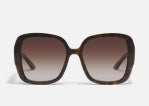 Full Glam Neutral Tort/Brown QUAY