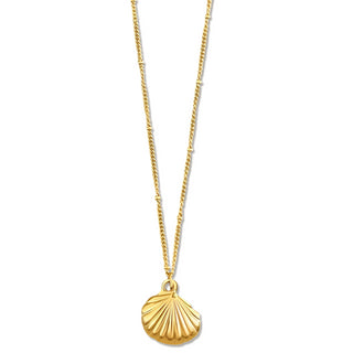 Georgina Shell Pendant Necklace Ellie Vail