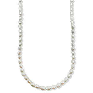 Joza Pearl Choker Necklace Ellie Vail