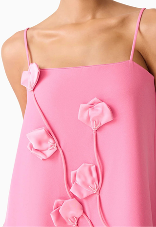 Nolana Gown Pink - Elliatt