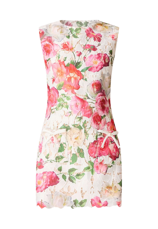 Roselle Shift Mini Dress - Elliatt