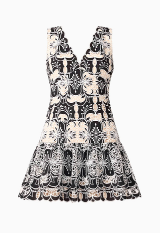 Jolie Mini Dress Black White Elliatt