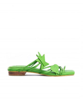 Ficus Flat Garces Bottier