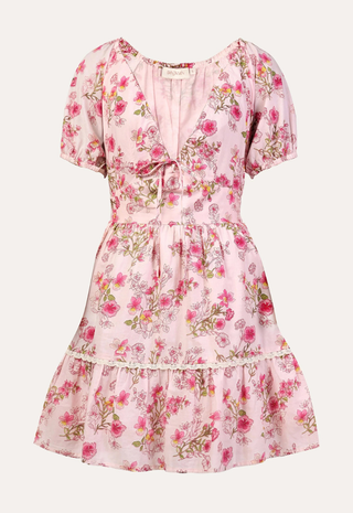 Artemis Mini Dress Burdock Peony Banjanan
