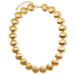 Berta Shell Choker Necklace Ellie Vail