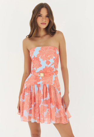 Rowyn Dress Sky Coral Hutch