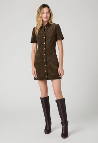 Clementine Dress With Seams Fern Paige