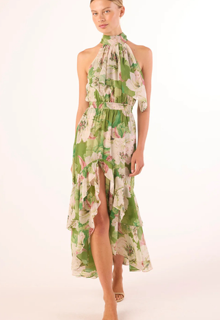 Aneva Dress In Full Bloom Misa