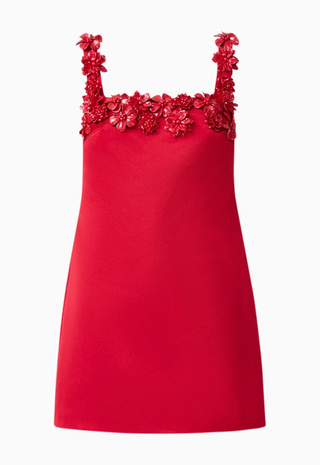 Lucetta Shift Mini Dress Red Elliatt โ Monkee's of Georgetown