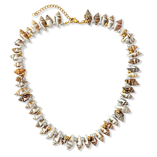 Aydi Shell Choker Necklace Ellie Vail