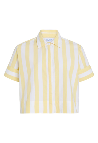 Club Shirt Club Stripe Livro