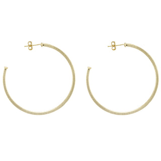 Perfect Hoops BR1207  Sheila Fajl